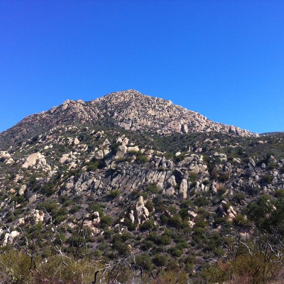 Meet your Posher, Kelly - Picture 1 of 1